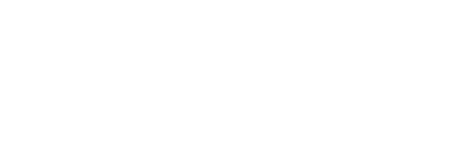 Eva Digital Marketing Agency